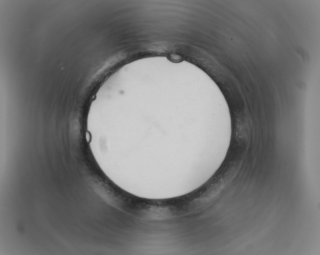 X0000112750256200910011201