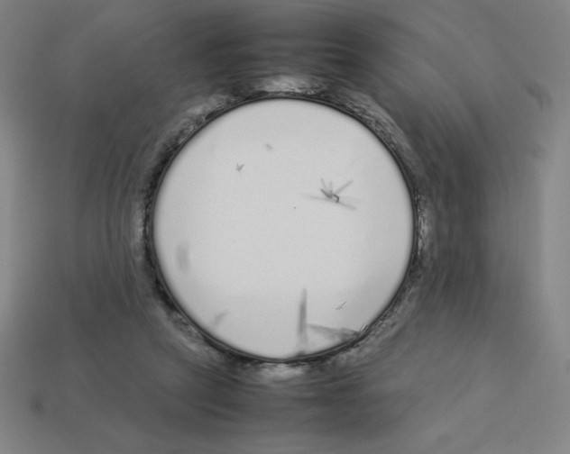 X0000112750257200910011201