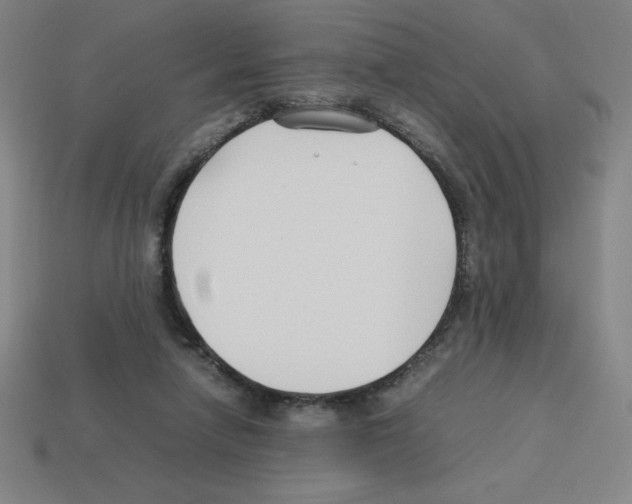 X0000112750258200910011201