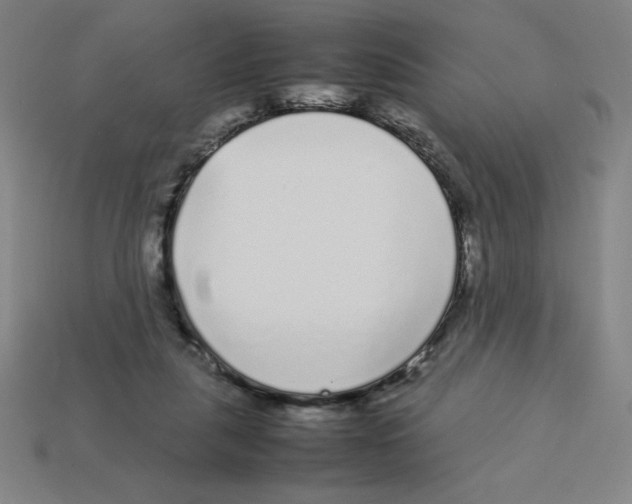 X0000112750259200910011201