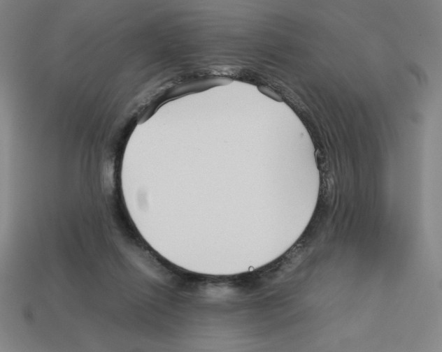 X0000112750262200910011201