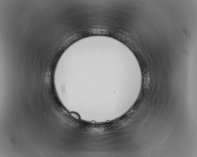 X0000112750263200910011201