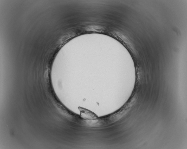 X0000112750265200910011201