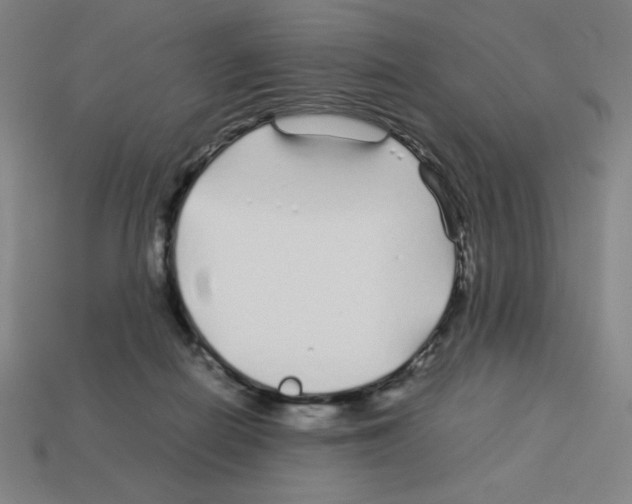 X0000112750266200910011201