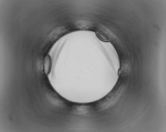 X0000112750268200910011201