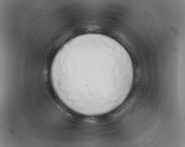 X0000112750269200910011201