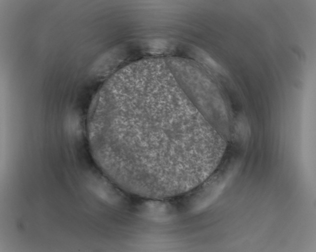 X0000112750272200910011201