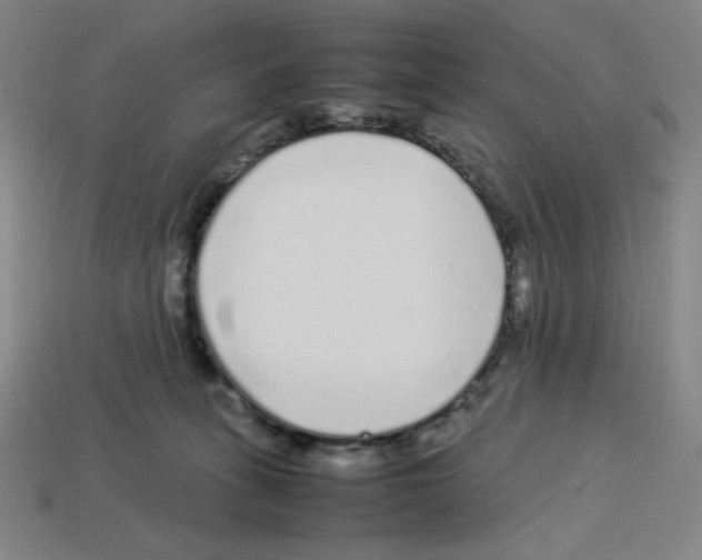 X0000112750275200910011201