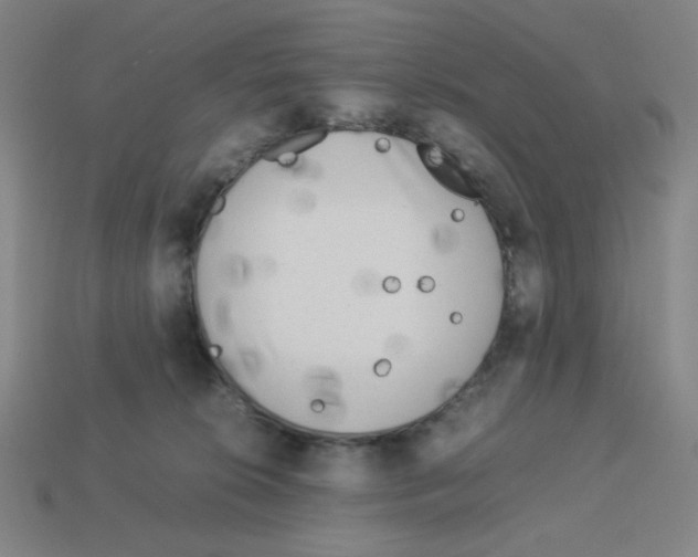 X0000112750276200910011201