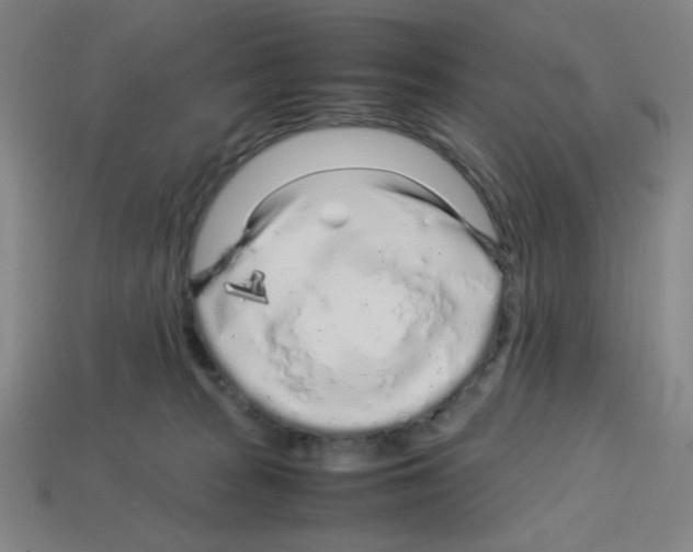 X0000112750277200910011201