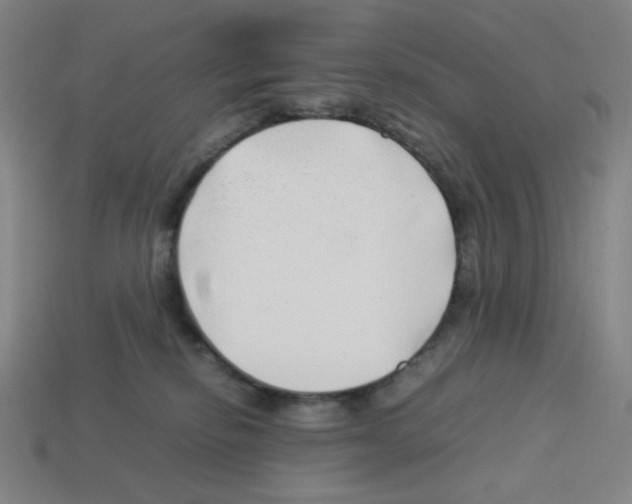 X0000112750278200910011201