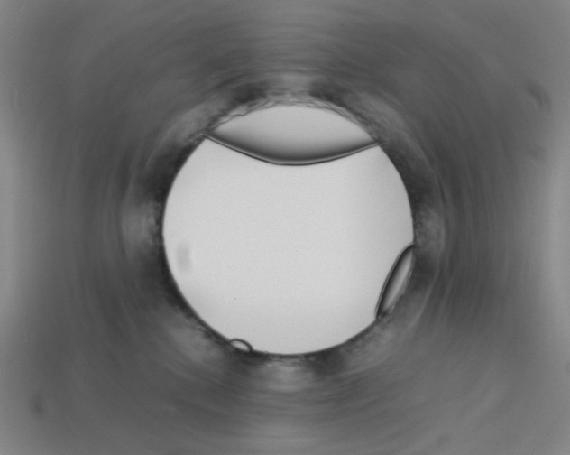 X0000112750280200910011201