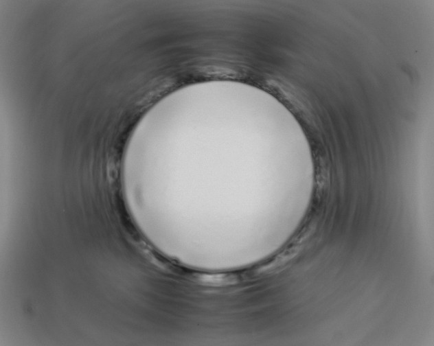 X0000112750281200910011201