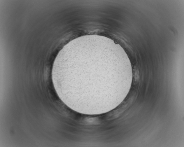 X0000112750283200910011201