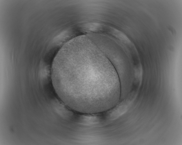 X0000112750284200910011201