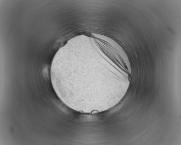 X0000112750286200910011201