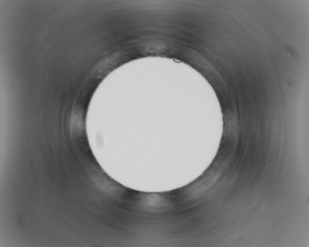 X0000112750287200910011201