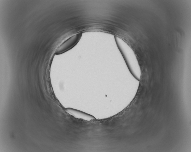 X0000112750289200910011200