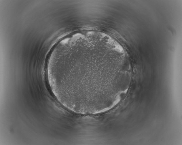 X0000112750290200910011200