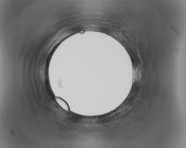 X0000112750291200910011200