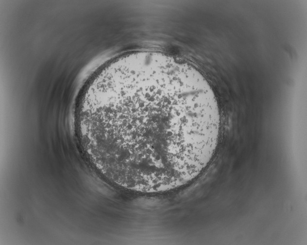 X0000112750294200910011200