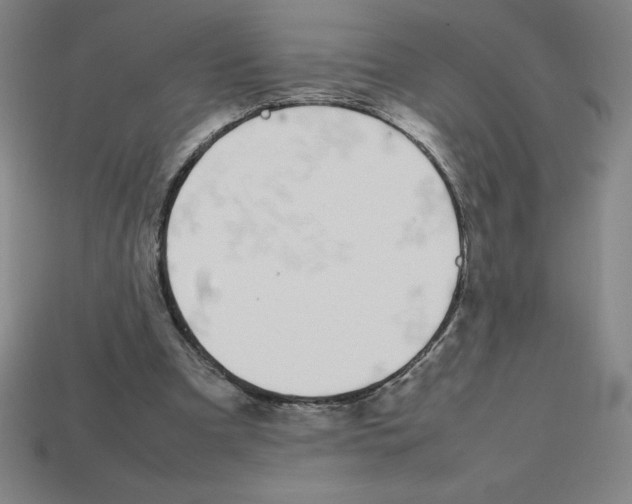 X0000112750297200910011200