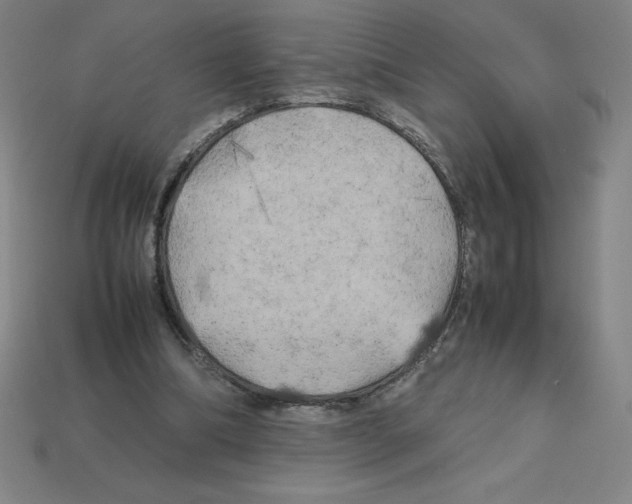 X0000112750298200910011200