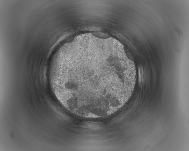 X0000112750300200910011200