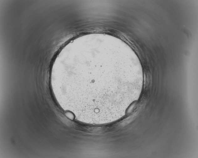 X0000112750301200910011200