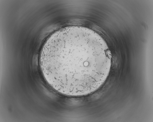 X0000112750302200910011200