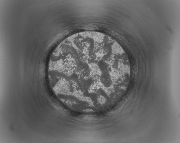 X0000112750303200910011200