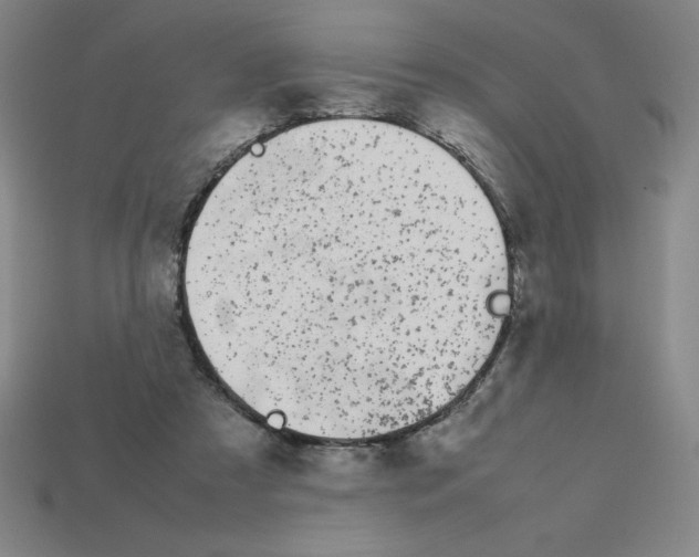 X0000112750305200910011200