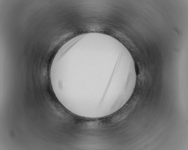 X0000112750306200910011200