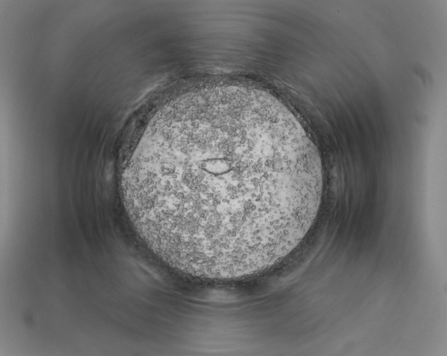 X0000112750308200910011200