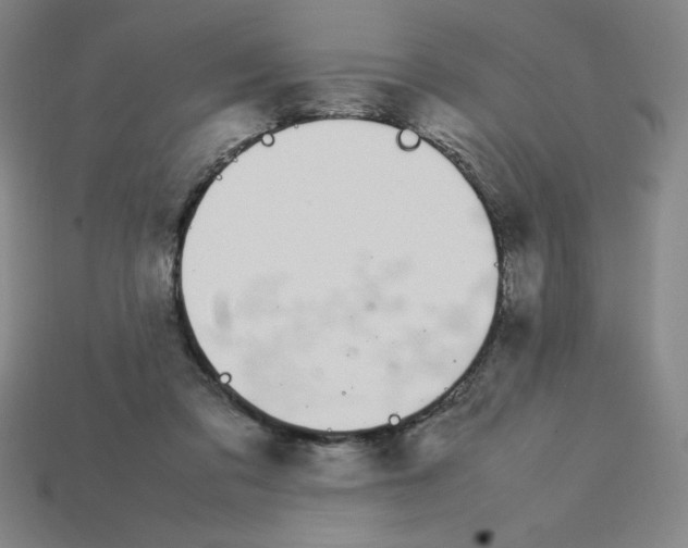 X0000112750309200910011200