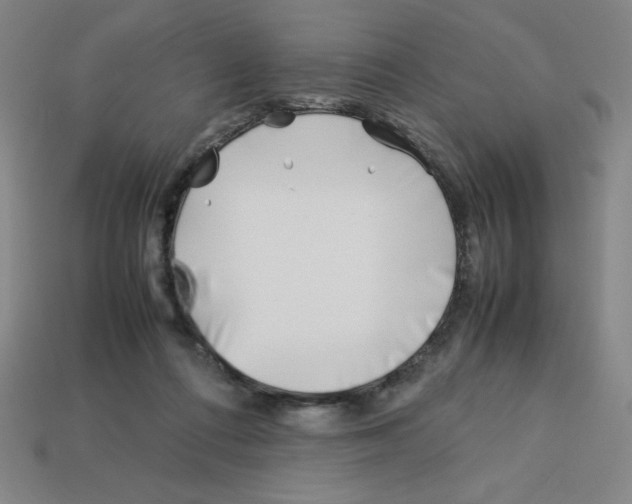 X0000112750312200910011200