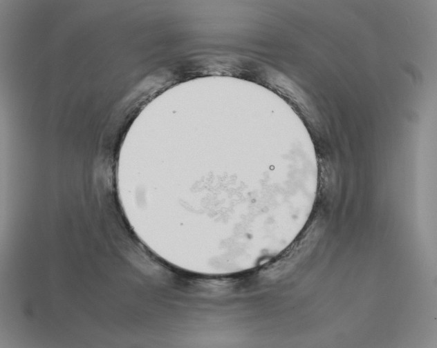 X0000112750313200910011200