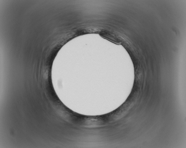 X0000112750315200910011200