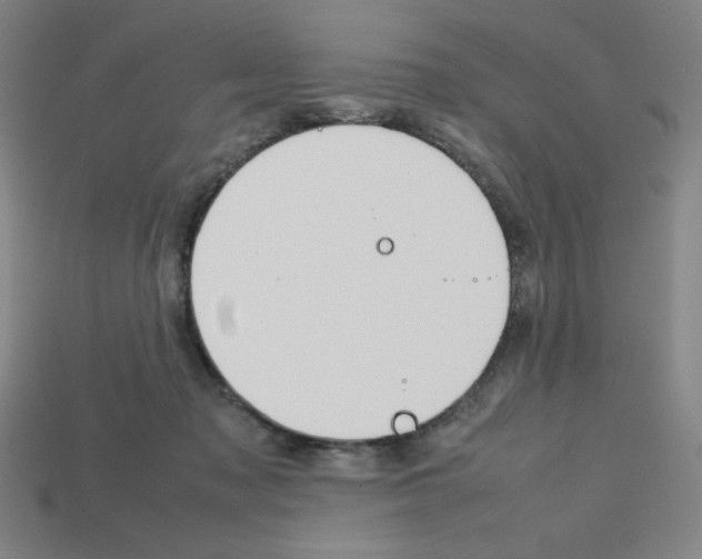 X0000112750317200910011200