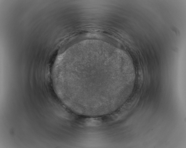 X0000112750320200910011200