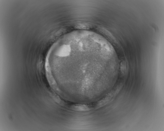 X0000112750322200910011200