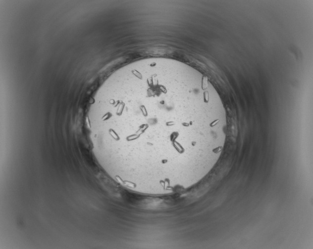 X0000112750326200910011200