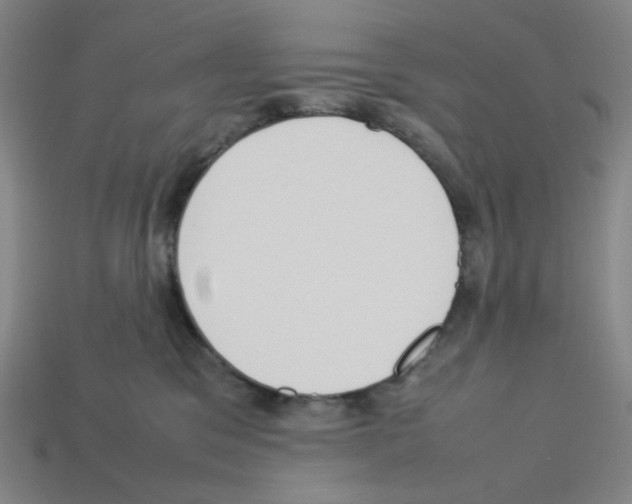 X0000112750329200910011200