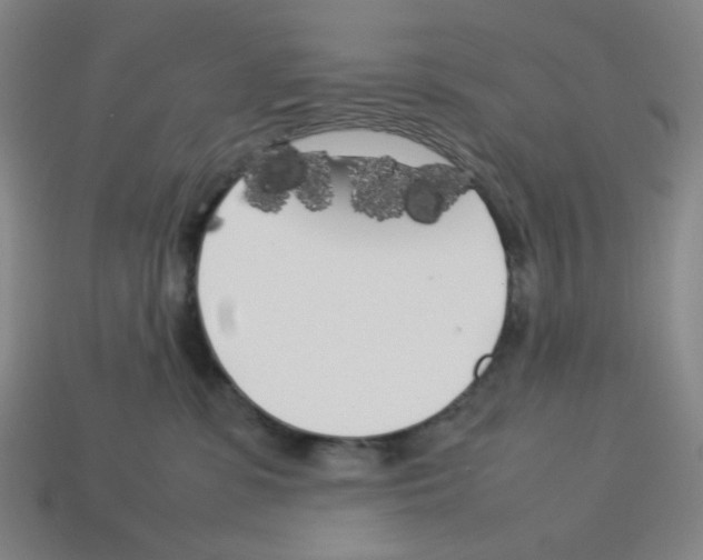 X0000112750331200910011200