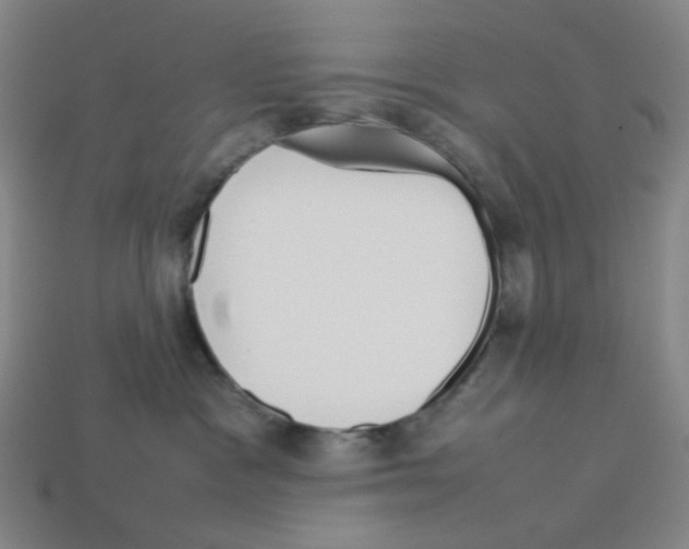 X0000112750333200910011200