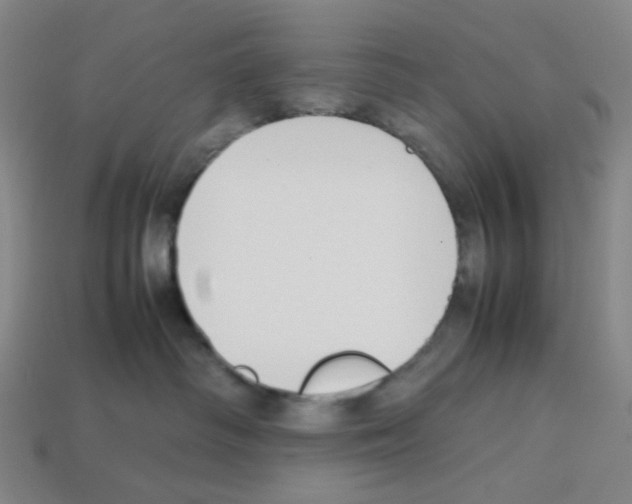 X0000112750334200910011200