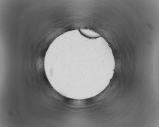 X0000112750335200910011200