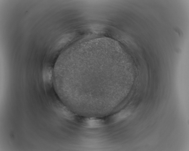 X0000112750336200910011200