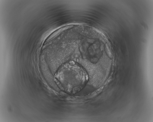 X0000112750337200910011159