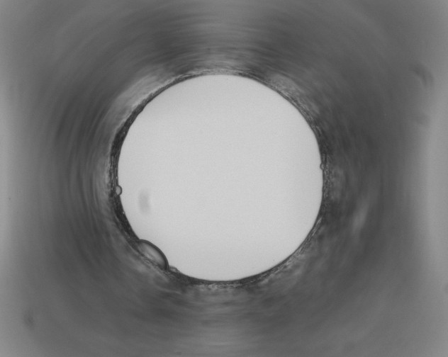 X0000112750338200910011159